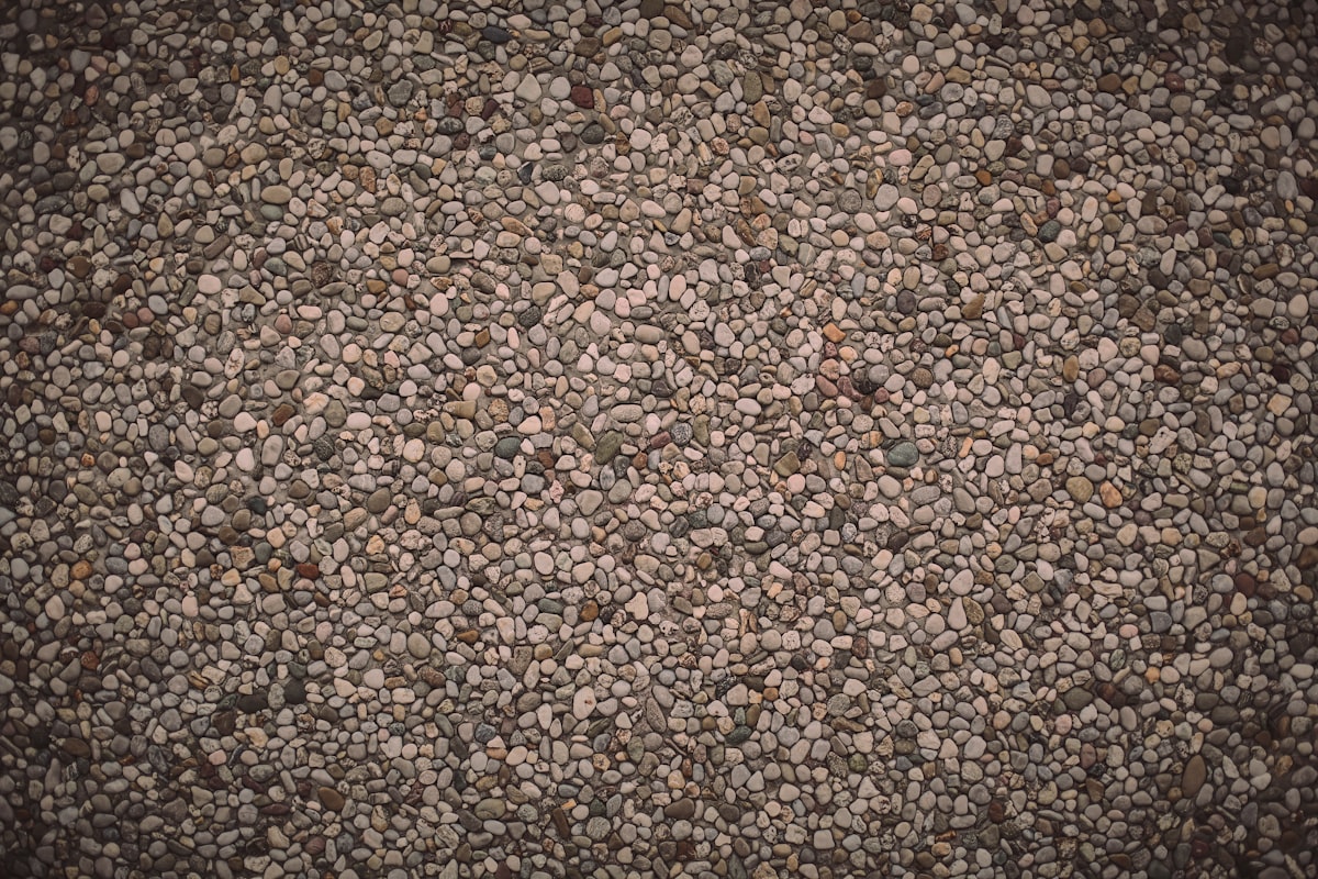 Lentejas legumbre rica en proteína