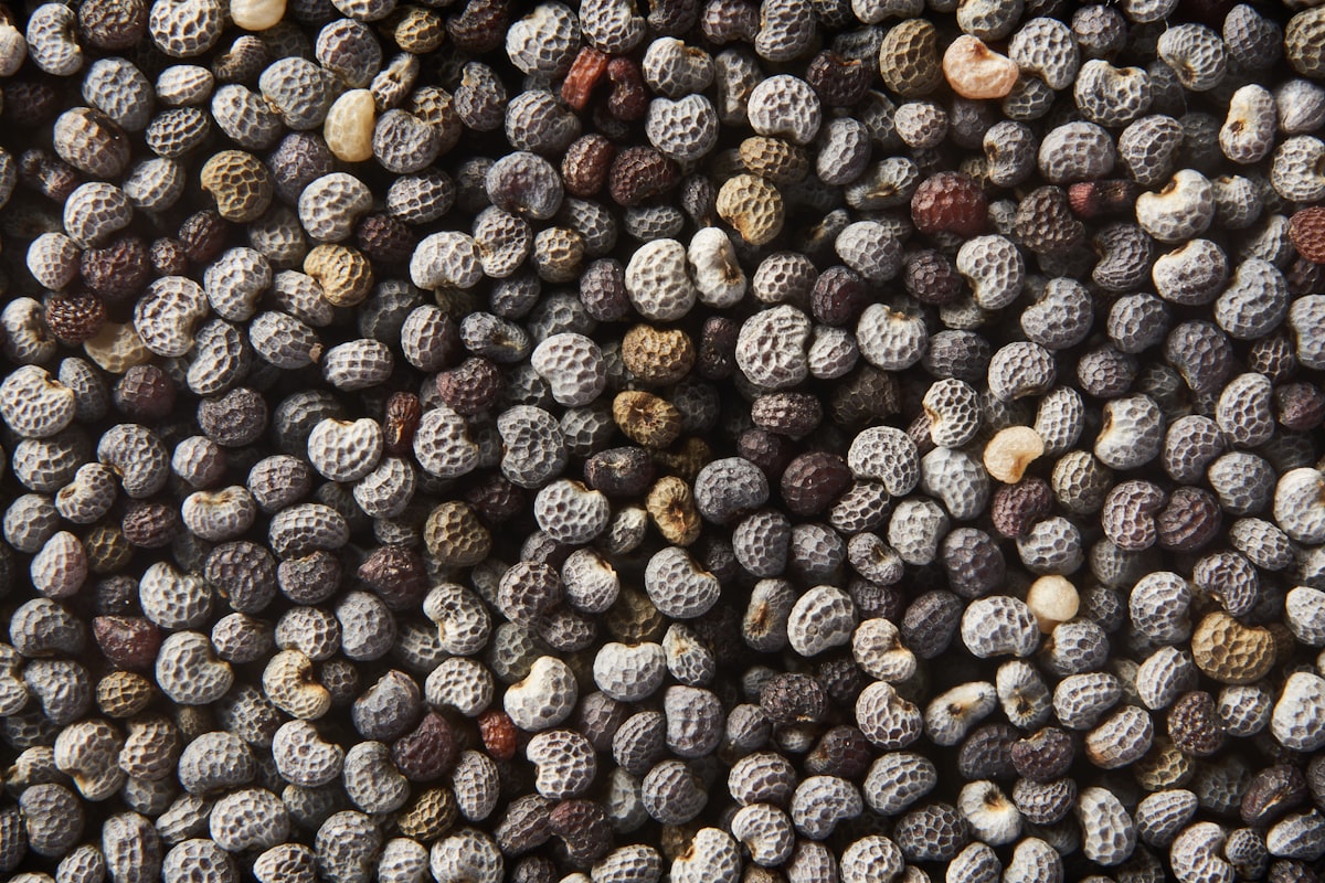 Despensa con alimentos básicos saludables